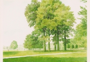 A11 Landschapspark van de Wiersse